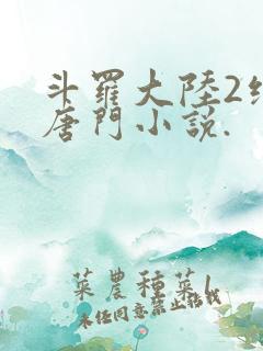 斗罗大陆2绝世唐门小说.