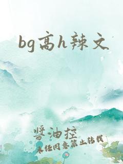 bg高h辣文