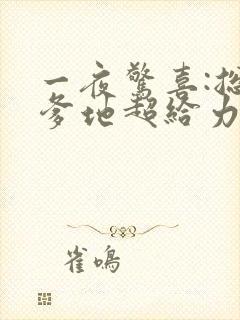 一夜惊喜:总裁爹地超给力