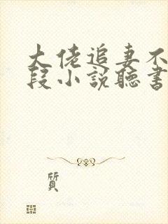 大佬追妻不择手段小说听书