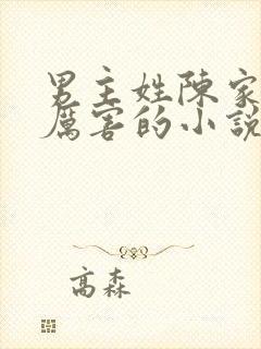 男主姓陈家族很厉害的小说