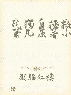 我独自拯救一切萧凡原著小说