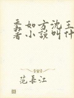 季如方沈玉琼原著小说叫什么名字