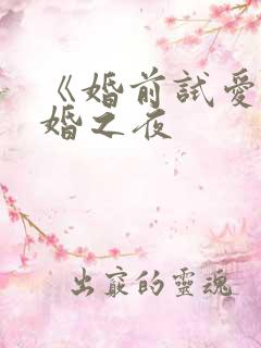 《婚前试爱》新婚之夜
