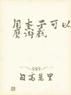 用本子可以做什么游戏