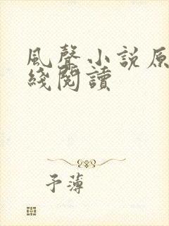 风声小说原著在线阅读