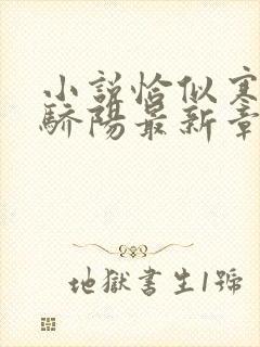 小说恰似寒光遇骄阳最新章