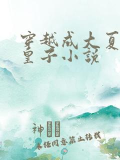 穿越成大夏国七皇子小说