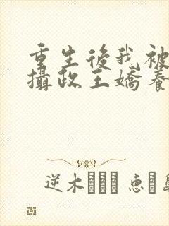 重生后我被反派摄政王娇养了