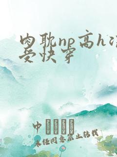 肉耽np高h浪受快穿