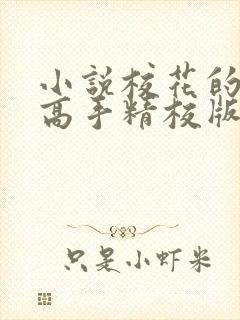 小说校花的贴身高手精校版