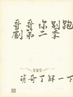 哥哥你别跑电视剧第二季