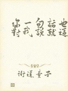 你一句话也没有对我说就这样离开我是什么歌