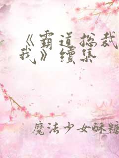 《霸道总裁爱上我》续集