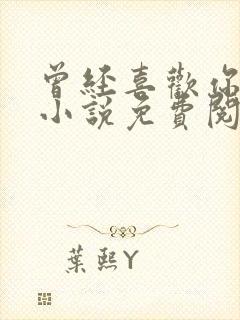 曾经喜欢你的我小说免费阅读