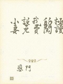 小说我的极品娇妻免费阅读全文