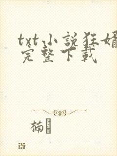 txt小说狂婿完整下载