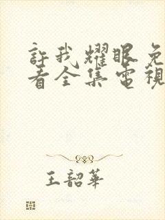 许我耀眼免费观看全集电视剧