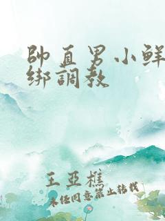 帅直男小鲜肉捆绑调教