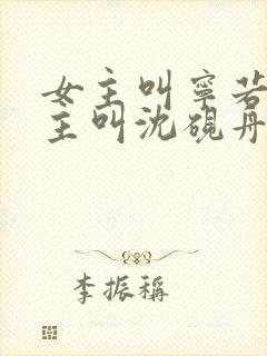 女主叫宁若曦男主叫沈砚舟的小说