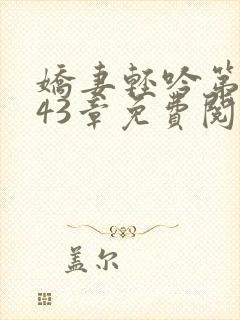 娇妻轻吟第二部43章免费阅读小说下载