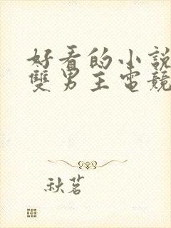 好看的小说推荐双男主电竞