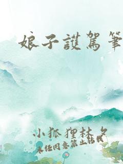 娘子护驾笔趣阁