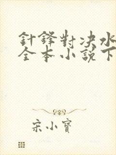 针锋对决水千丞全本小说下载