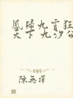 凤归九霄狂妃逆天下 九汐公子