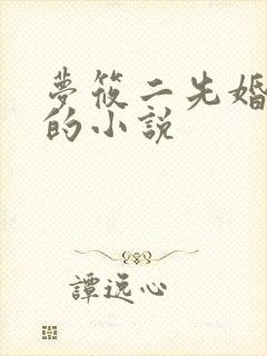 梦筱二先婚后爱的小说