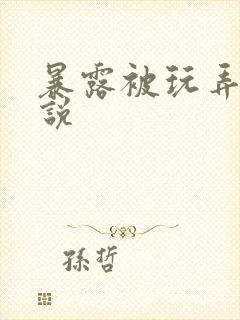 暴露被玩弄的小说