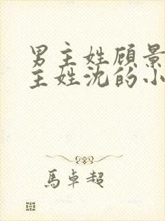 男主姓顾景琛女主姓沈的小说