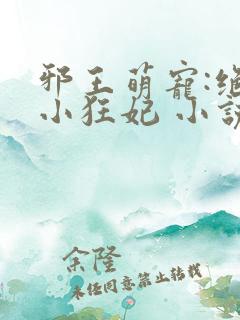 邪王萌宠:绝色小狂妃 小说