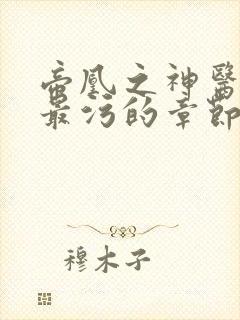 帝凰之神医弃妃最污的章节