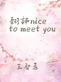 翻译nice to meet you