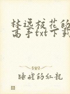 林逸校花的贴身高手txt下载