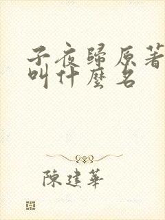 子夜归原著小说叫什么名