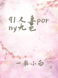 91人妻porny九色