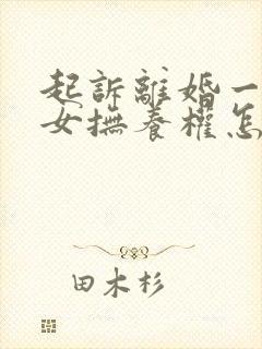 起诉离婚一儿一女抚养权怎么判