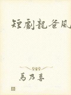 短剧龙爸风云
