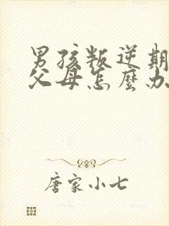 男孩叛逆期打骂父母怎么办