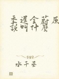 季迟金蔚原著小说叫什么