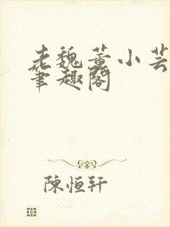 老魏董小芸全文笔趣阁