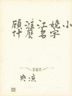 顾淮江娆小说叫什么名字