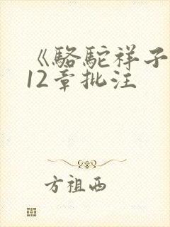 《骆驼祥子》第12章批注