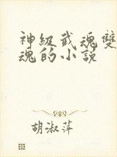 神级武魂双生武魂的小说