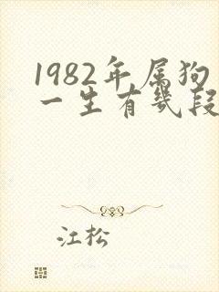 1982年属狗一生有几段婚姻