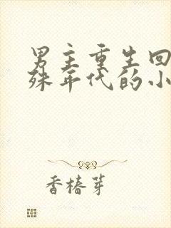 男主重生回到特殊年代的小说