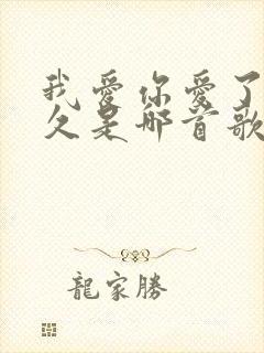 我爱你爱了那么久是哪首歌