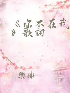 《你不在我不在》歌词